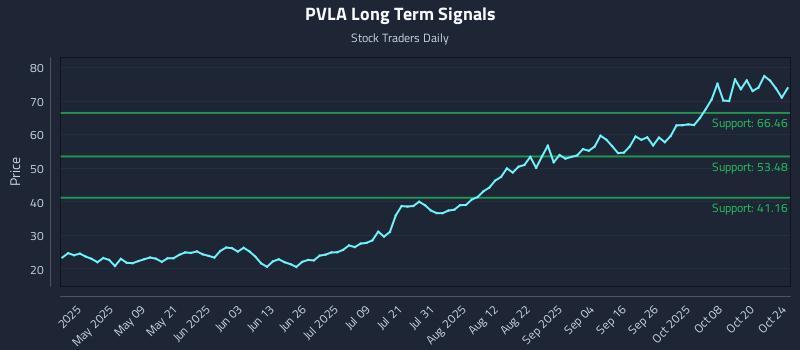 PVLA Long Term Analysis for October 24 2025 PVLA Long Term Analysis for October 24 2025