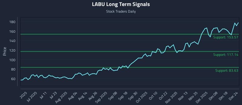 LABU Long Term Analysis for December 24 2025