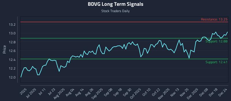 BDVG Long Term Analysis for December 25 2025