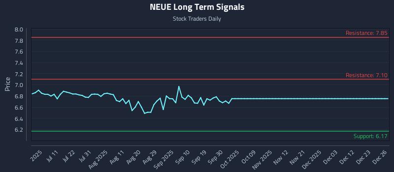 NEUE Long Term Analysis for December 26 2025