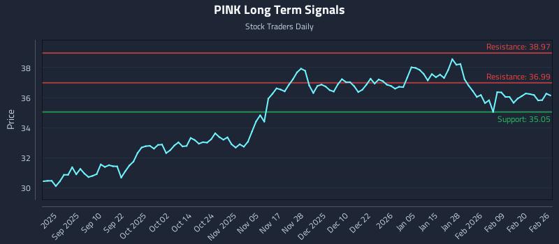 PINK Long Term Analysis for February 26 2026 PINK Long Term Analysis for February 26 2026