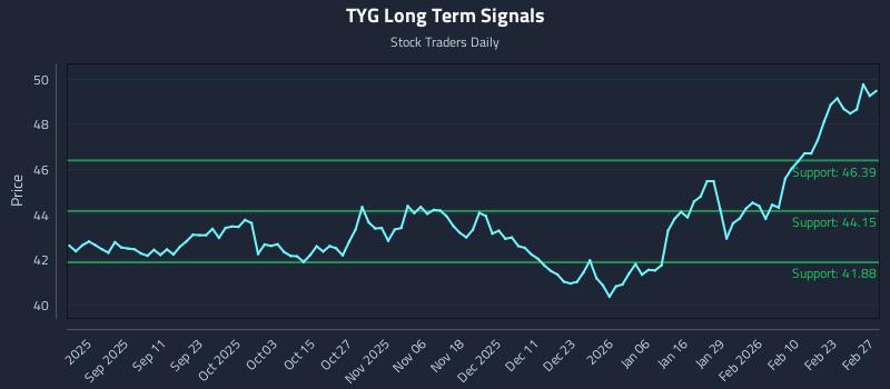 TYG Long Term Analysis for February 27 2026