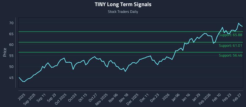 TINY Long Term Analysis for March 1 2026 TINY Long Term Analysis for March 1 2026